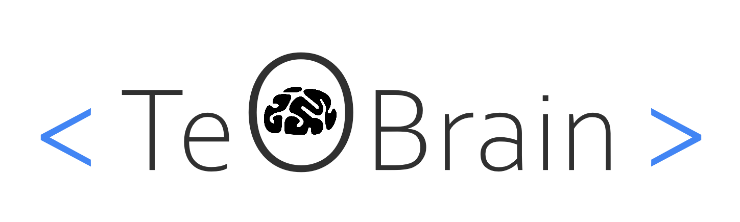 TeoBrain - платформа ИТ-образования